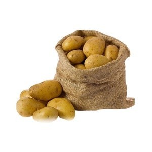Agria Potato – 24 Tons (1 Container)