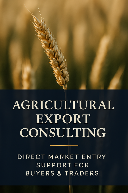 Wheat Export Consulting – Direct Market Entry Support for Buyers & Traders