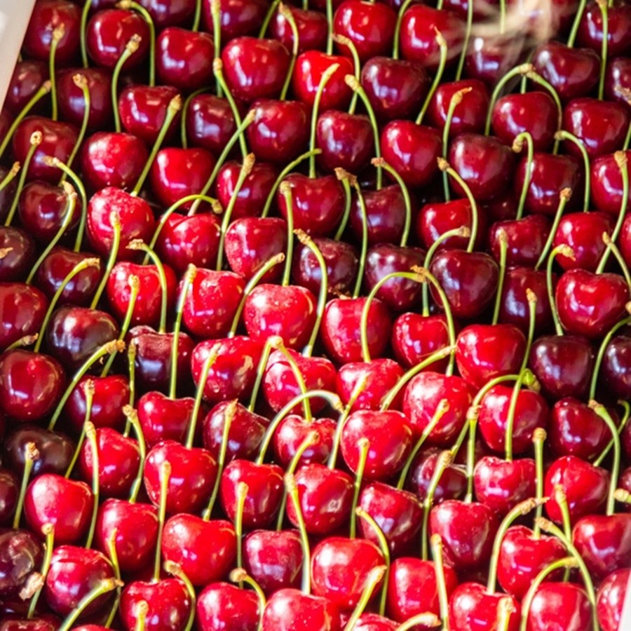 Premium Grade Export-Quality Cherries from Turkey – 1000 KG